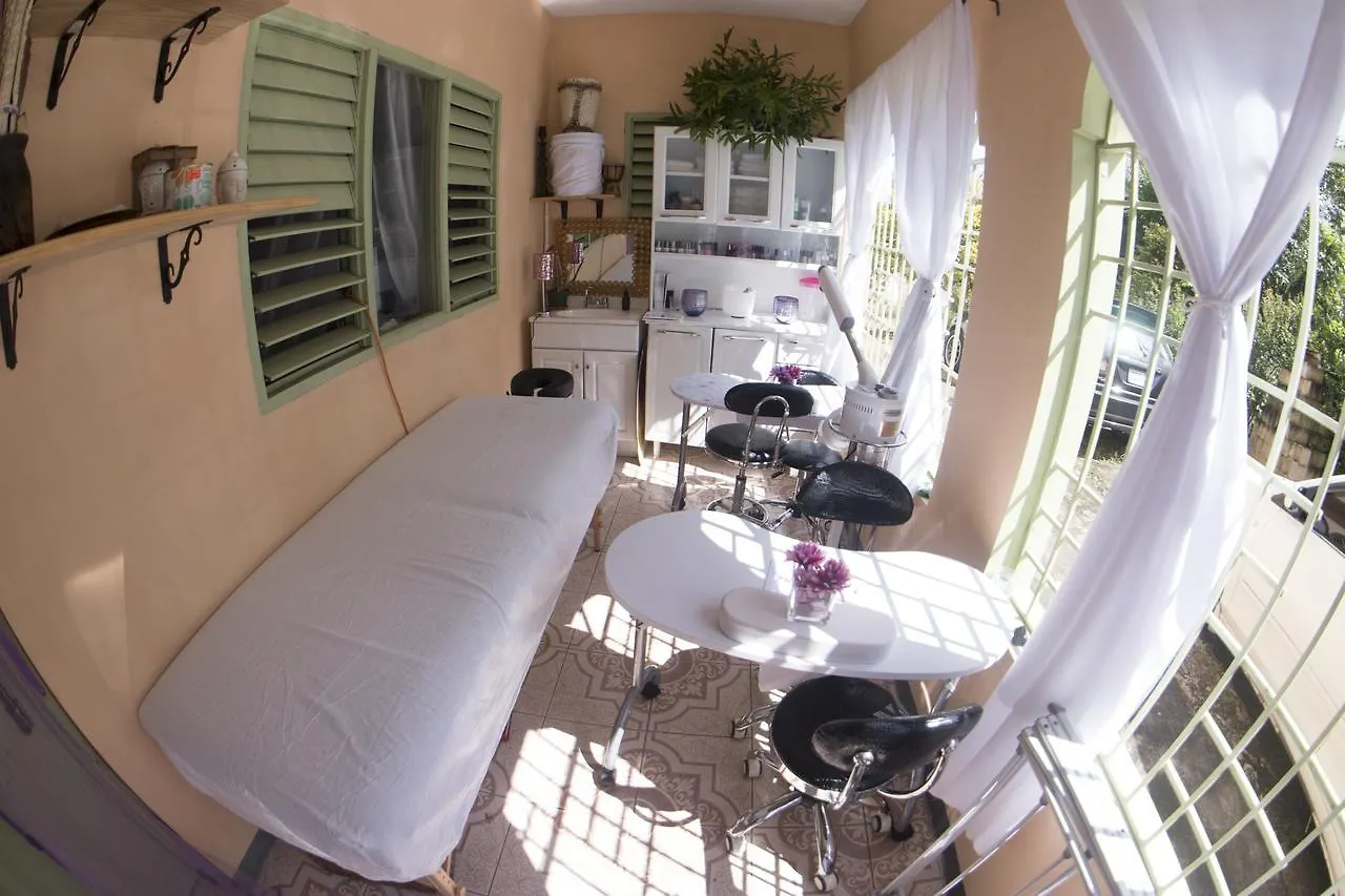 Celebrity Yoga & Healing Retreat Apartment Ocho Rios